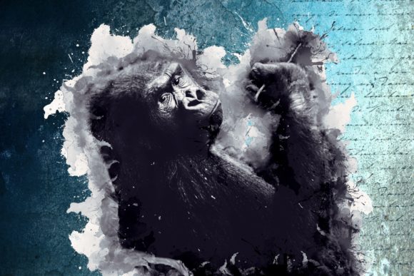 Animal Printables 300 Dpi Pack 02: Versatile Wall Art