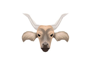 Animal Vector: Bringing Organic Energy to Your Projects