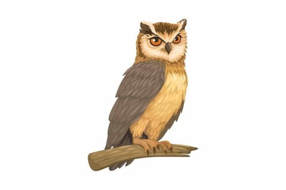 Bringing Nature to Life: The Owl Bird Illustration Vector