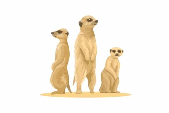 Meerkat Animal Illustration: A Playful Vector for Bold Branding