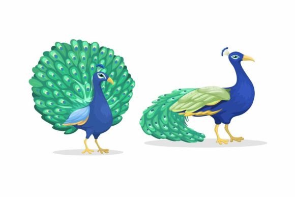 Peacock Animal Species Cartoon Set: A Designer's Guide