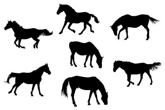 Unlock Creative Potential with Horse Animal SVG Design