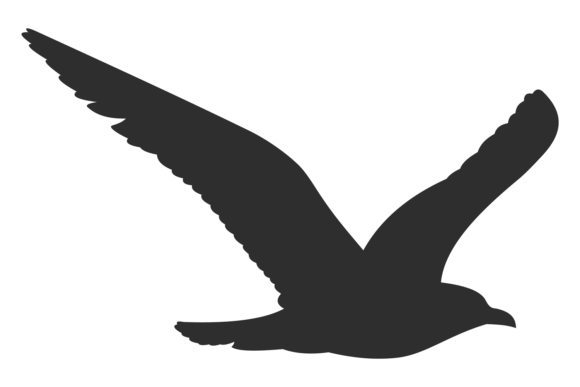 Wild Bird Flying. Black Animal Wings Sil: A Dynamic Silhouette for Modern Design